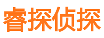 丰满侦探公司